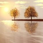 Appreciating Your Partner: A Reflection on Gratitude and Action